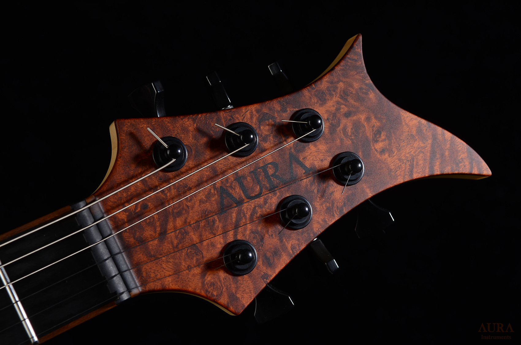Handmade Guitar Aura Explorer TS detail 10