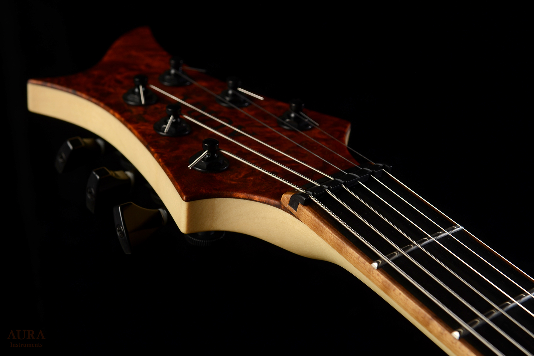 Handmade Guitar Aura Explorer TS detail 11