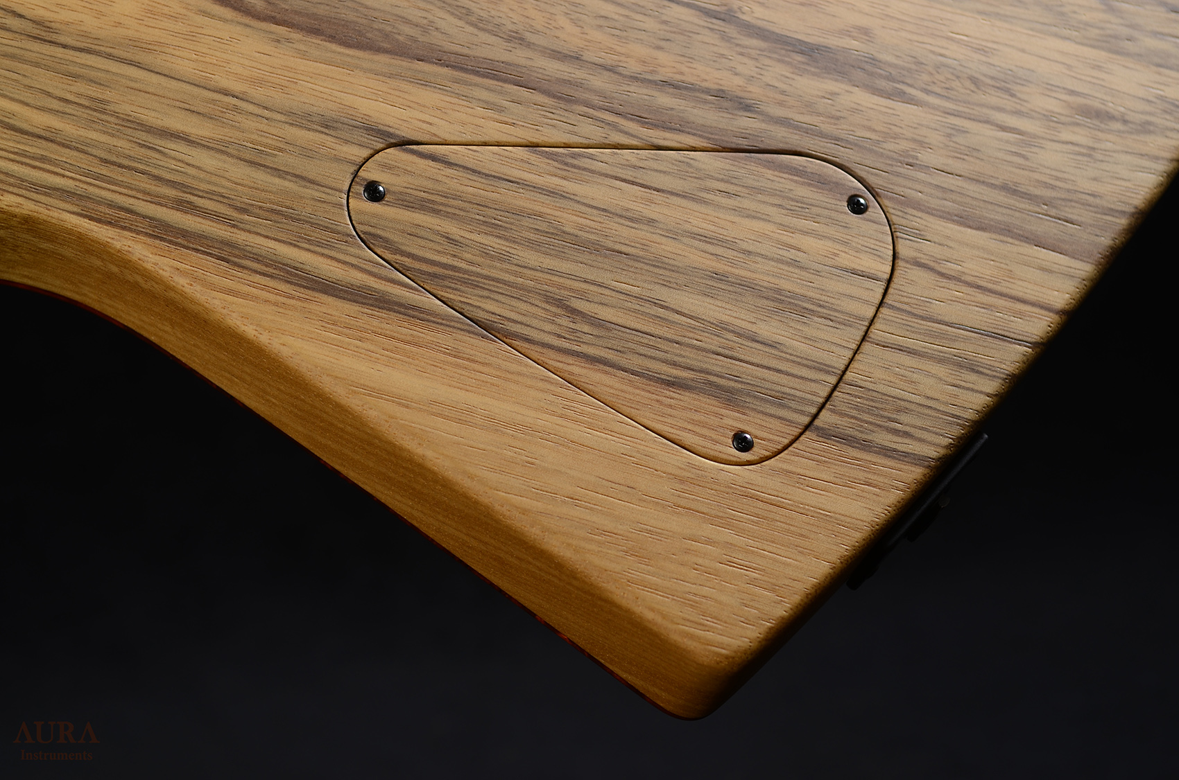 Handmade Guitar Aura Explorer TS detail 7