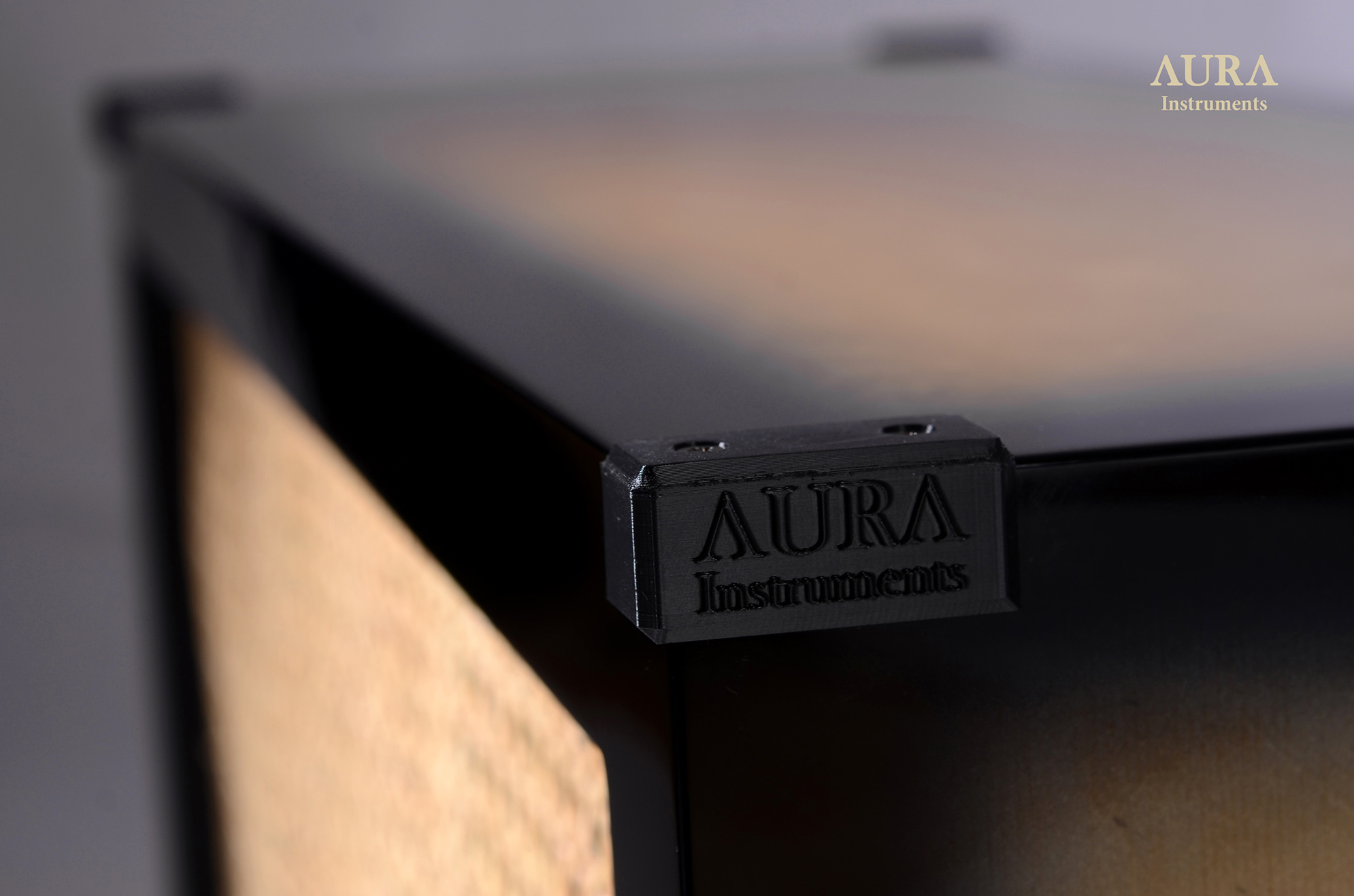 Guitar Cabinet AURA Vintage 2 x 12 Celestion Black Shadow detail 4