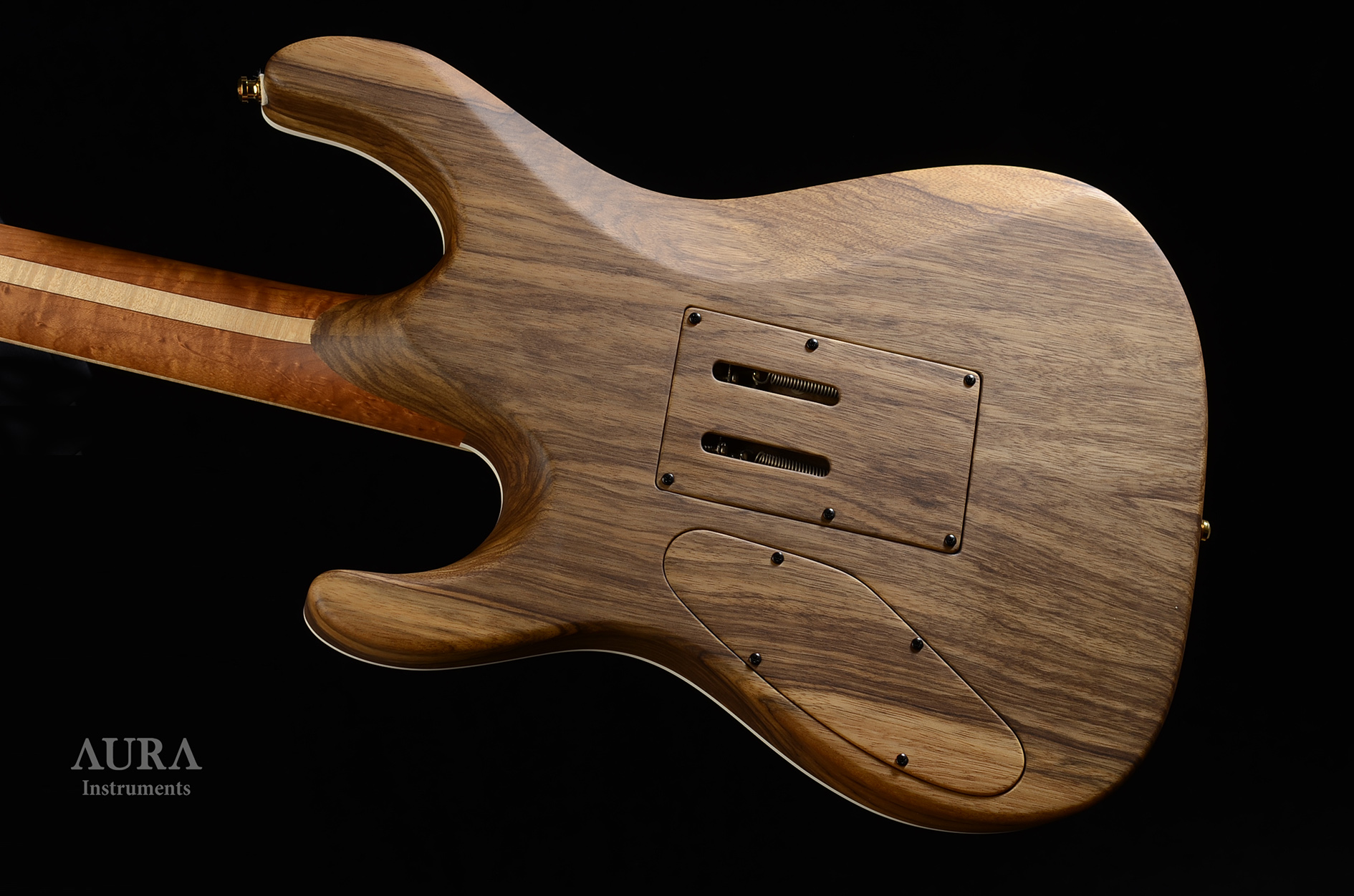 Handmade Guitar Aura COB HC detail 5