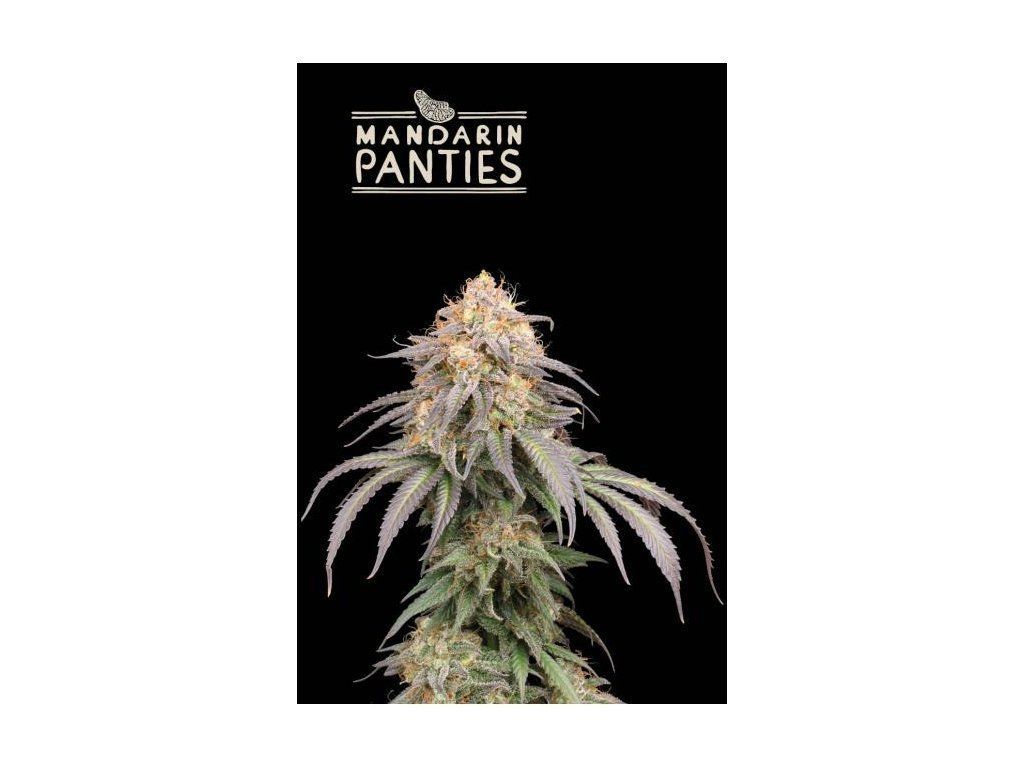 Mandarin Panties Auto — produktová fotografie dodavatele