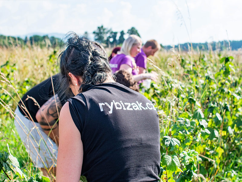 Rybízák — fotka 1