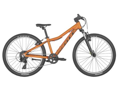 376341 scott scale 24 2023