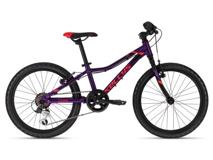 375636 kellys lumi 30 2023 20 purple