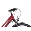 KROSS TRANS 5.0 2021 - ruby/black (Velikost 19")