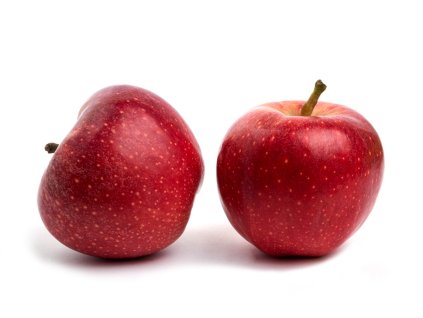 Jablko Gdaňský hranáč