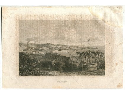 Oceloryt Terst / Triest, 0