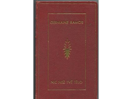 Nic, než tvé tělo - románový deník