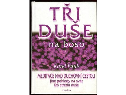 Tři duše na boso : malé meditace nad duchovní tvorbou Táni Fischerové, Dany Majdové, Václava Švejcara