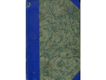 Hvězdná lavina - románová vidina budoucna