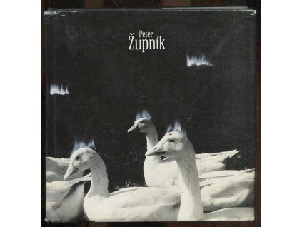 Peter Župník, Peter Župník, 1993