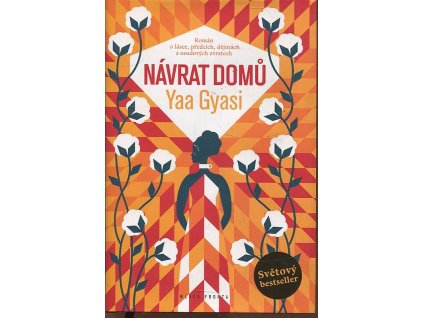 Návrat domů, Yaa Gyasi, 2016