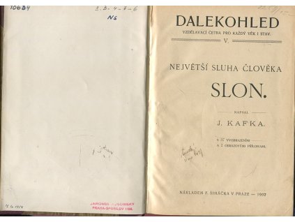 Největší sluha člověka slon