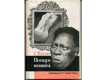Ikongo neumírá - Román černocha