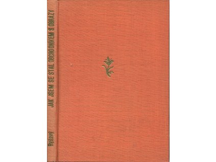 Jak jsem se stal obchodníkem s obrazy aneb Knihy versus obrazy (10:0 pro obrazy)