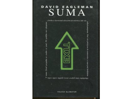 Suma - čtyřicet příběhů z života po životě, David Eagleman, 2011
