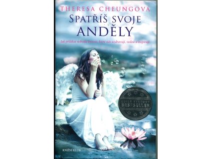 Spatříš svoje anděly, Theresa Cheungová, 2014