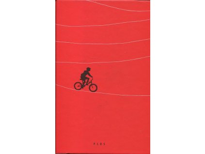 Jeden kluk z milionu, Monica Woodová, 2017