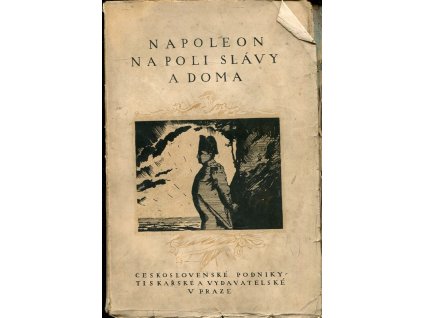 Napoleon na poli slávy a doma