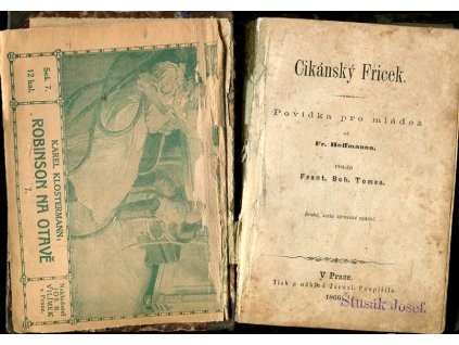 Cikánský Fricek : povídka pro mládež, Alexander Friedrich Franz Hoffmann, 1866