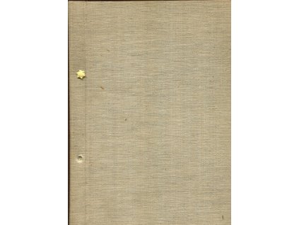 Historie kameniny v Čechách, v Evropě - psáno na stroji, nejspíš jako diplomová práce - obrazová dokumentace