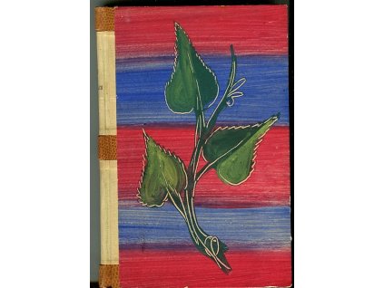 Češi a Slováci - vzpomínky a úvahy nad dopisy a zápisky z let 1907-1918, Josef Rotnágl, 1945