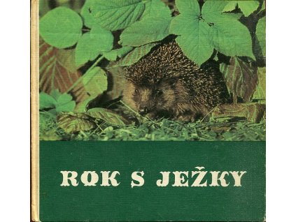 Rok s ježky