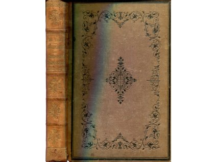 Geschiedenis der Antwerpsche Schilderschool, Max Rooses, 1880