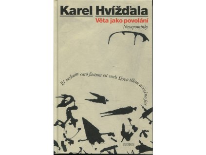 Věta jako povolání