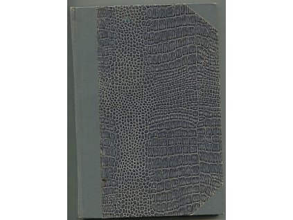 Vlastní silou, Ignatij Nikolajevič Potapenko, 1925