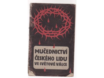 Mučednictví českého lidu ve světové válce, Petr Bezuchov, 1920