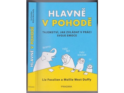 Hlavně v pohodě - Tajemství, jak zvládat v práci svoje emoce, Liz Fosslien, 2020