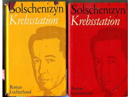 Krebsstation - Roman in zwei Büchern