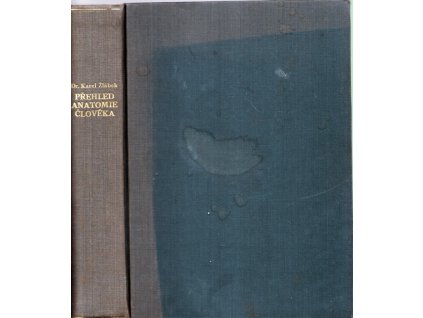 Přehled anatomie člověka, Karel Žlábek, 1947