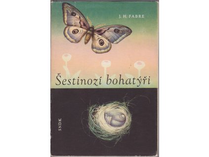 Šestinozí bohatýři - Pro čtenáře od 9 let