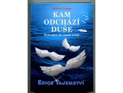 Kam odchází duše - průvodce po onom světě, Gabriel Looser, 2013