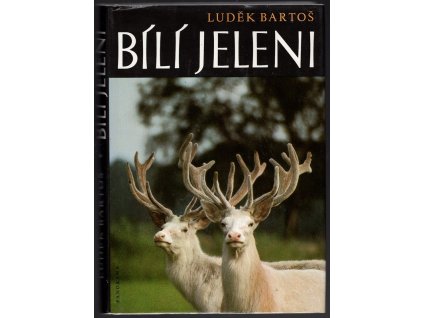 Bílí jelení, Luděk Bartoš, 1987