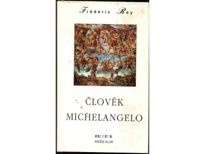 Člověk Michelangelo : román