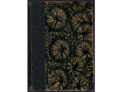 Gigolo, Jan Václav Rosůlek, 1932