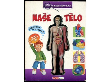Naše tělo - Jak funguje lidské tělo?