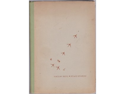 Ptačí stopou : Román pro mládež