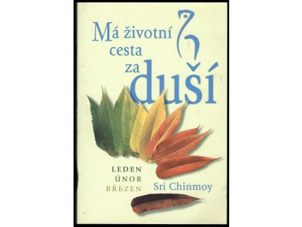 Má životní cesta za duší - leden, únor, březen, Chinmoy, 1999