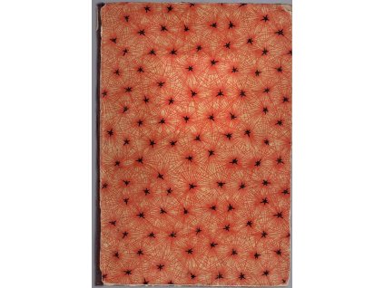 Souostroví krásy - Jihomořský román, Jan Havlasa, 1919