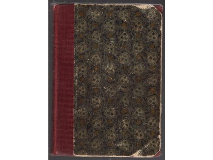 Skauti Orlí družiny