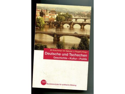 Deutsche und Tschechen. Geschichte, Kultur, Politik