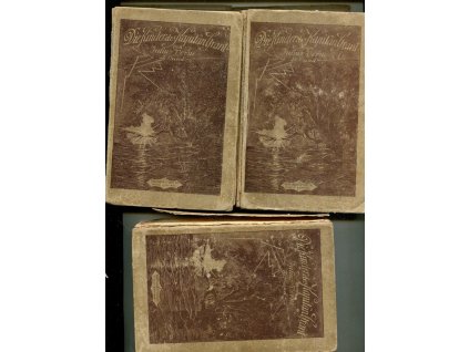 Die Kinder des Kapitän Grant. Bd. I-III, Julius Verne, 0