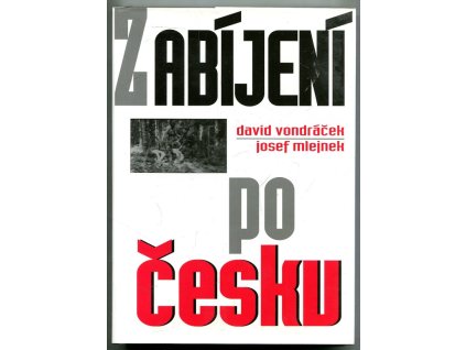 Zabíjení po česku, David Vondráček, 2010