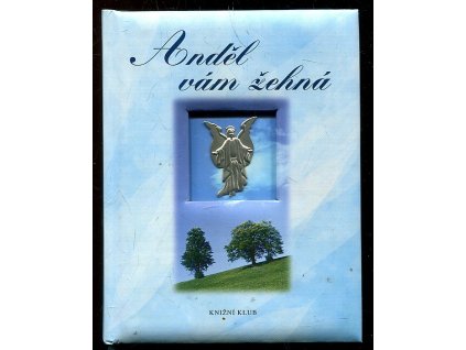 Anděl vám žehná, Jane Edwards Aldrich, 2008