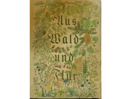 Aus Wald und Flur - Pflanzen unserer Heimat